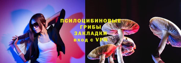 эйфоретик Алзамай