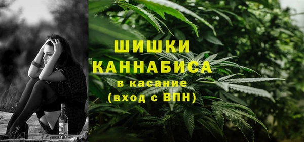 эйфоретик Алзамай