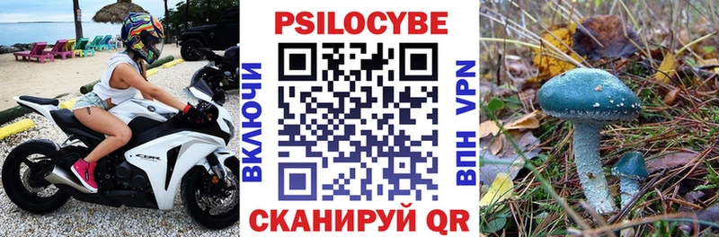 Псилоцибиновые грибы Cubensis где продают наркотики Котлас