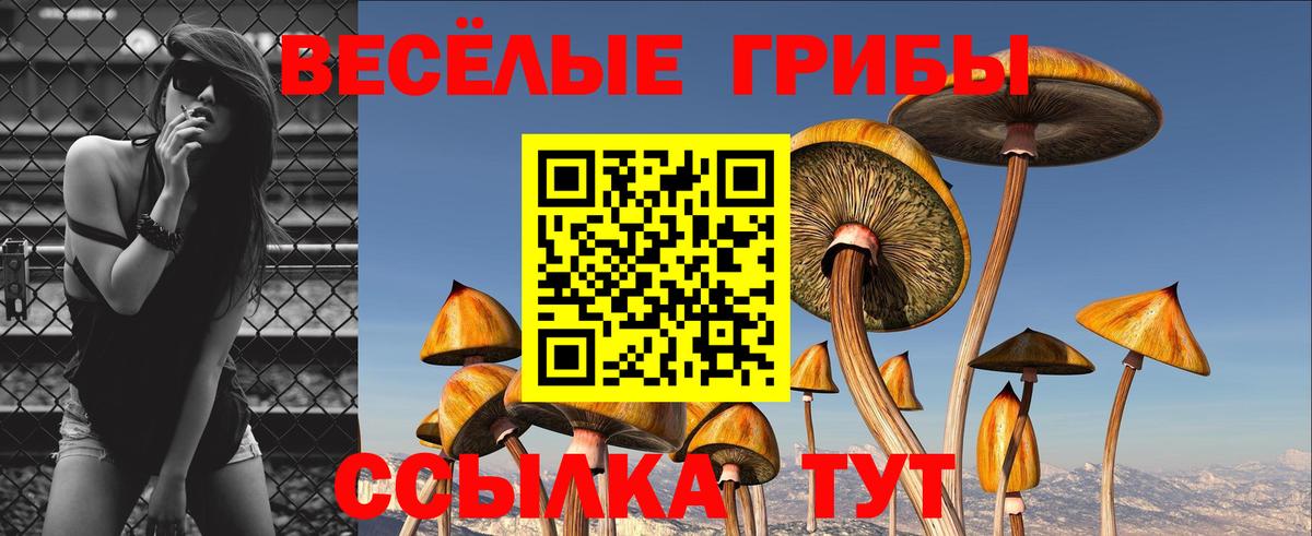 Галлюциногенные грибы ЛСД  Вход с VPN  Котлас  Псилоцибиновые грибы Psilocybine cubensis 