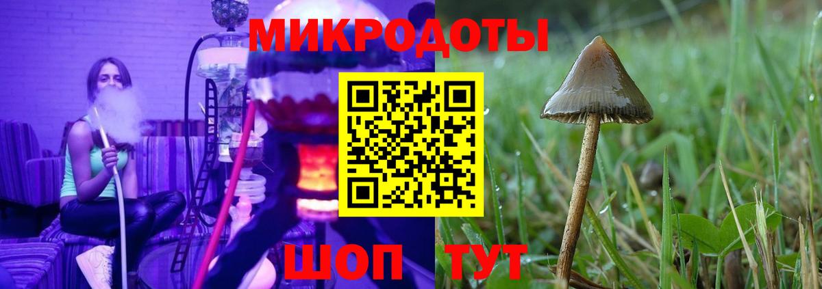 Галлюциногенные грибы ЛСД Котлас